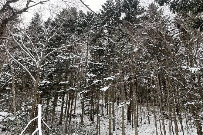 Full Day Snowshoeing Adventures With Onsen. - Exploring the Hokkaido Landscape