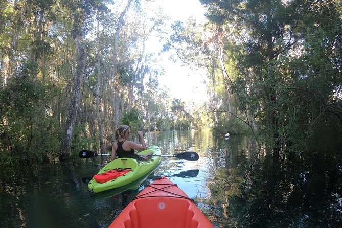 Full Day Tandem Kayak Rental For Two People In Crystal River, Florida - Wildlife Spotting