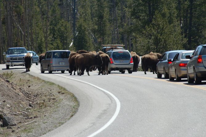 Full-Day Yellowstone Upper (Northern) Loop Tour - Pricing and Availability