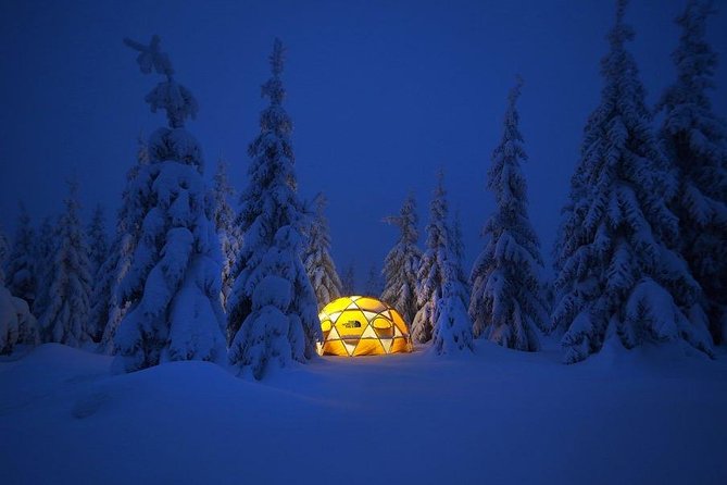 Fun and Adventure: Sledge Run in Czech Mountains - Tips for an Enjoyable Experience