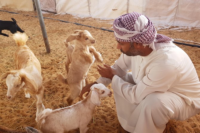 German-speaking Safari Oman - Participant Information