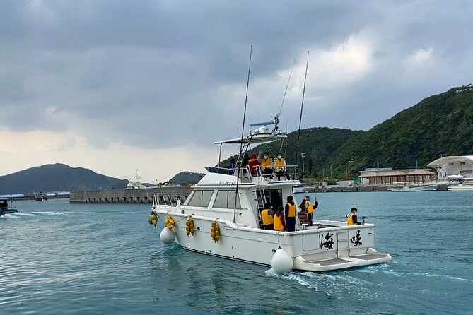 Great Whale Watching at Kerama Islands and Zamami Island - Onboard Activities and Amenities
