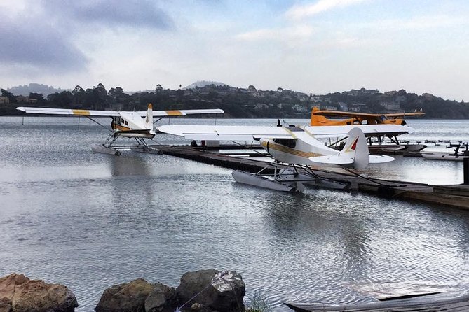 Greater Bay Area Seaplane Tour - Accessibility and Service Animals