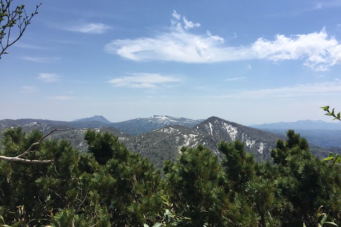 Green Season Half Day Hikes in Sapporo and Hokkaido With Onsen - Booking and Cancellation Details