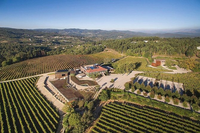 Green Wine Region Tour: Wine Tastings & Lunch - Culinary Highlights