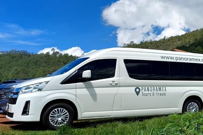 Guachimontones and Tequila Tour - Traveler Testimonials
