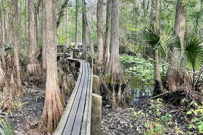 Guided Day Hike Through Floridas Wild Backcountry. - Exploring the Backcountry