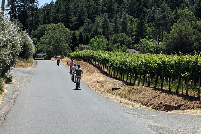 Guided Electric Bike Wine Tour Through Sonoma County - Exploring Sonomas Wine Country by Electric Bike