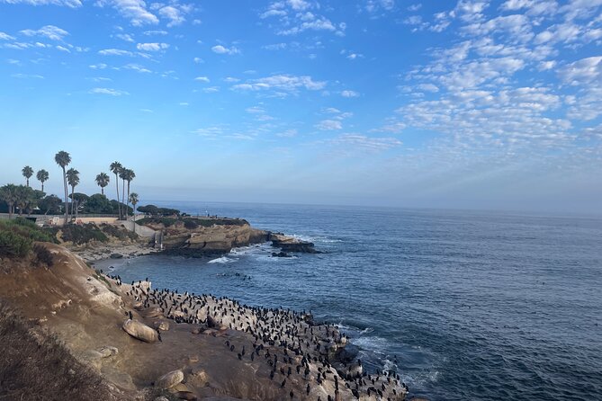 Guided Historic La Jolla Village Walking Tour - Planning Your Guided La Jolla Village Walking Tour