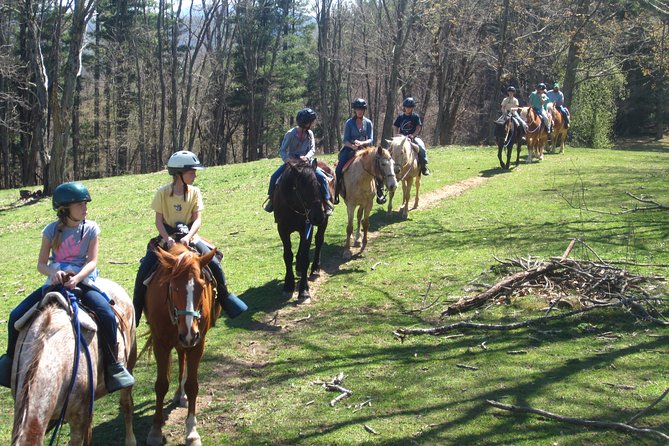 Guided Horseback Ride Through Flame Azalea and Fern Forest - Capturing the Memorable Experience