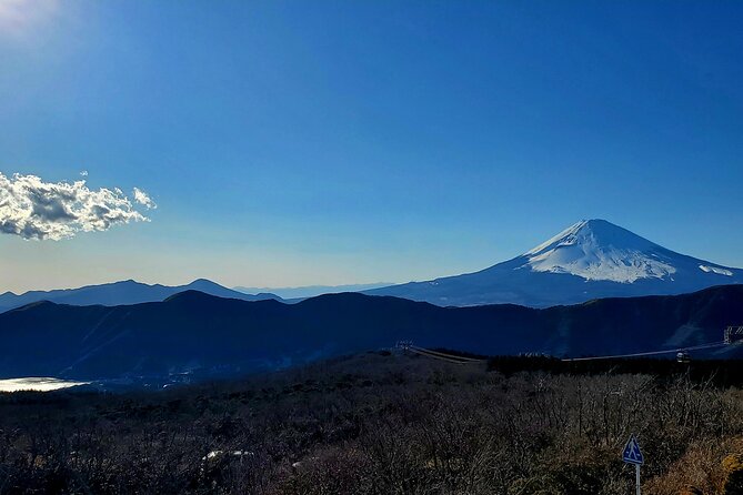 Guided Mt. Fuji & Hakone Tour Bullet Train Return GREEN NUMBER - Safety Considerations
