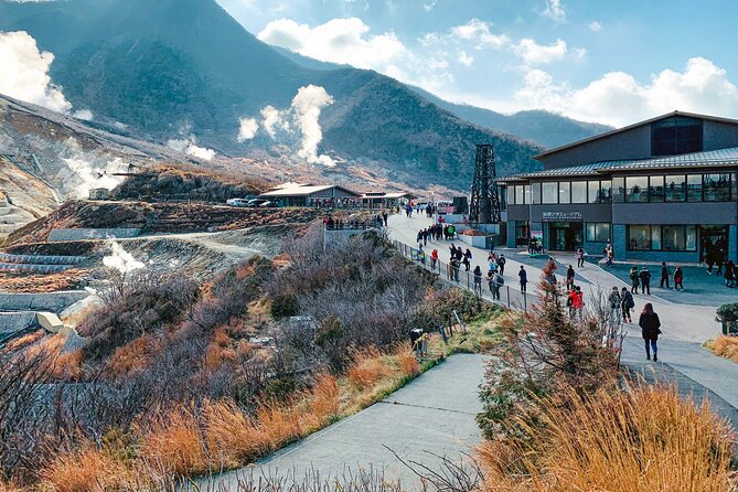 Guided Private Hakone Tour GREEN NUMBER PLATES - Pricing and Availability