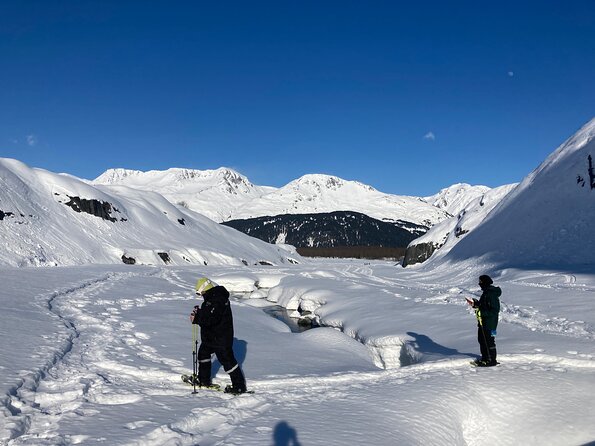 Guided Snowshoeing Adventure in Seward, Alaska - Additional Tips