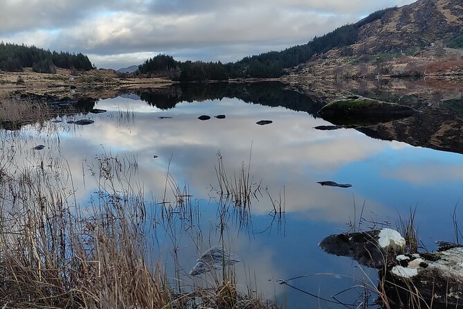 Guided Tour The Ring of Kerry, Skellig Ring and Valencia Island - Travel Tips