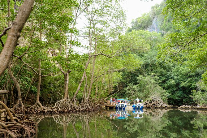 Haitises & Montaña Redonda, Natures Beauty Tour - Highlights of the Tour