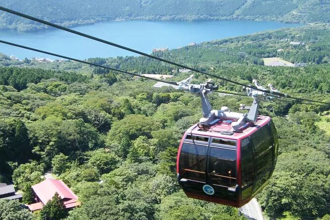 Hakone FreePass, 2-3 Days Japan - Highlights of the Hakone FreePass