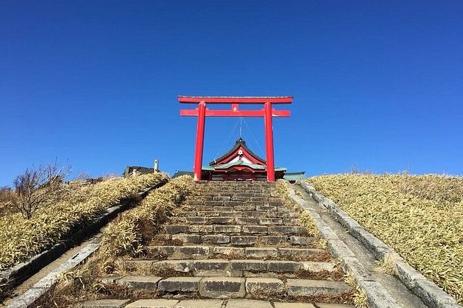 Hakone Full Customized Private Tour With English Speaking Driver - Customizing Your Itinerary