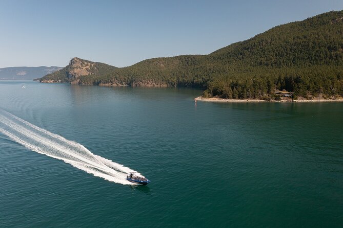 Half-Day Anacortes Whale and Wildlife Watching Guided Adventure - Suitability and Accessibility