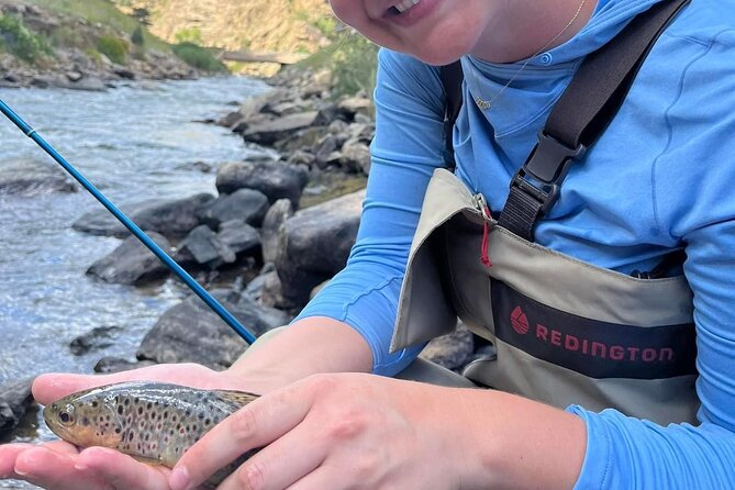 Half Day Fly Fishing Lesson on Clear Creek Near Denver - What to Expect During the Lesson