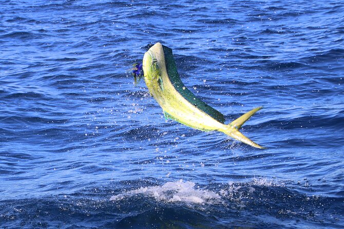 Half Day Huatulco Sport Fishing - Fishing Highlights and Experiences