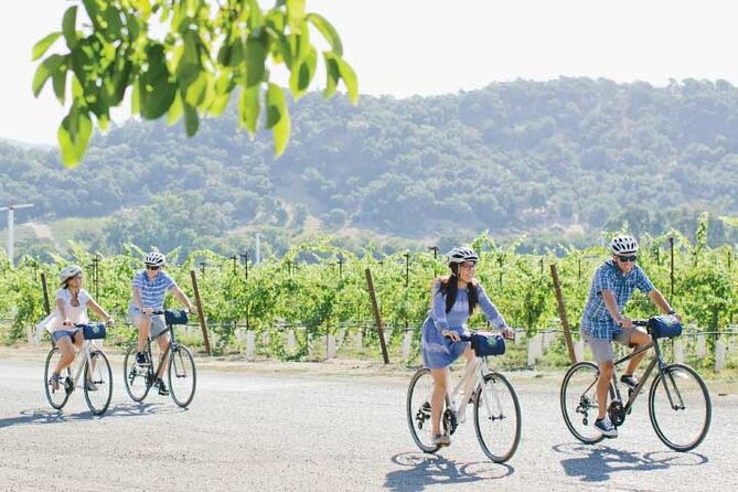 Half-Day Napa Valley E-Bike Tour - Guest Reviews and Feedback