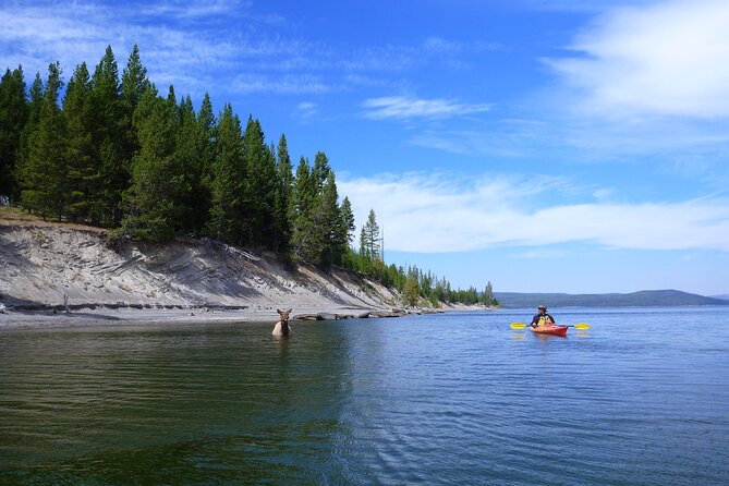 Half Day Paddle on Yellowstone Lake Review - Accessibility Considerations