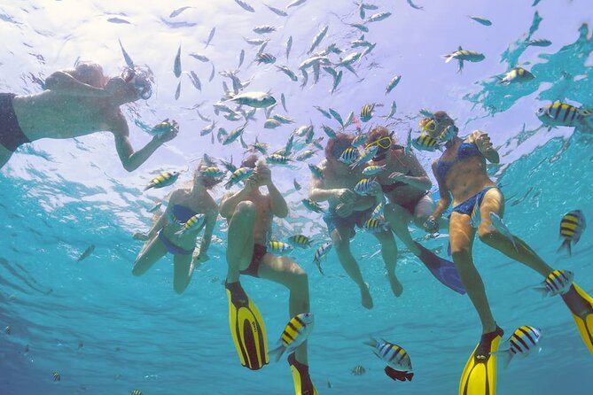 Half-day Party Boat Tour in Punta Cana - Preparing for the Adventure