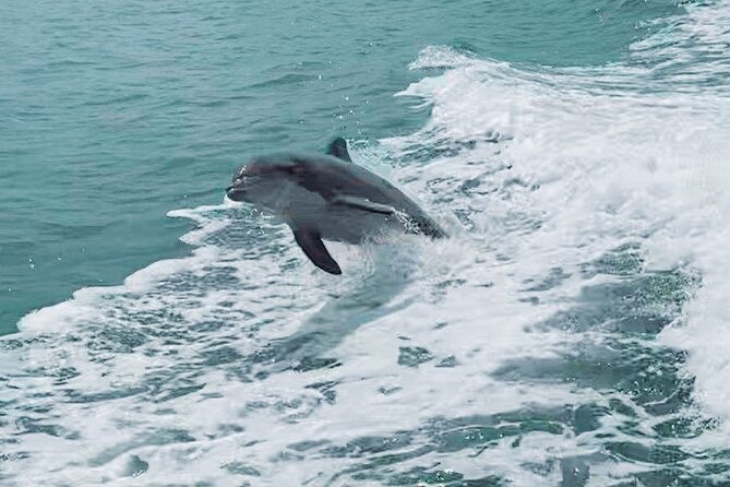 Half-Day Private Boating On Blue Hurricane - Clearwater Beach - Suitability for Events