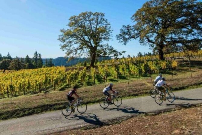 Half Day Private North Fork Bike Tour Thru Wine Cntry in Matituck - Local Attractions