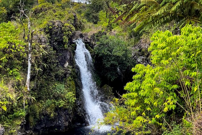Half Day Private VIP Road to Hana Tour - Convenient Transportation and Customized Scheduling