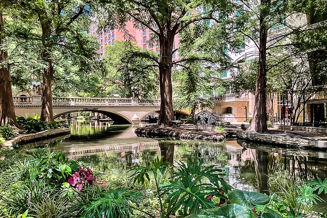 Half-Day San Antonio and Alamo Guided Walking Tour - Discovering the Tower of the Americas