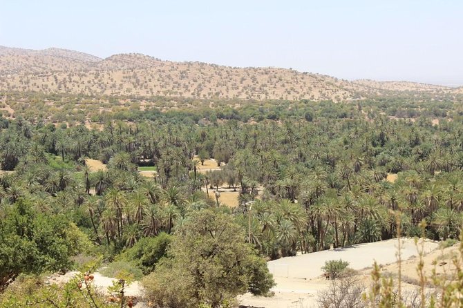 Half Day Tour : Agadir Goats in Argan Trees & Souk El Had Market - Frequently Asked Questions