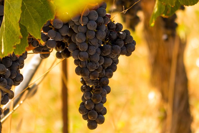 Half-Day Wine Country Tour From San Francisco - Booking and Confirmation Process