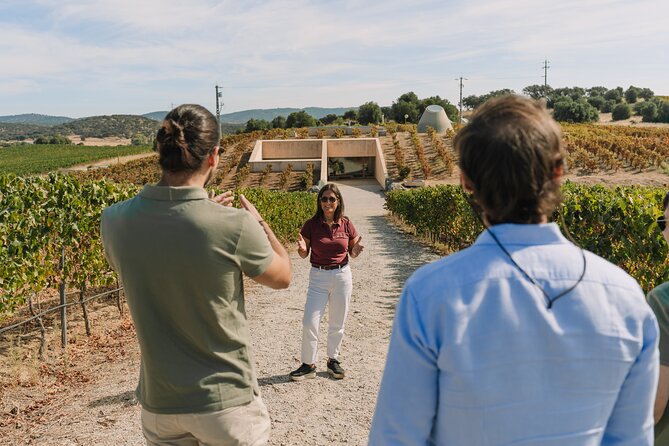 Half Day Wine Tour Around Evora - Traveler Reviews
