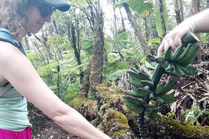 Hawaiian Rainforest Banana Cultivation Experience - Accessibility and Participation Details