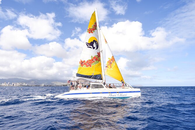 Hawaiian Sea Turtles and Snorkeling Experience in Kona With Lunch - Challenges and Resolutions