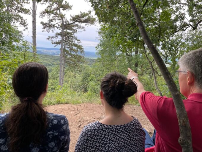 Hike, Nature & Picturesque View Over Budapest - Recommendations for Your Stay