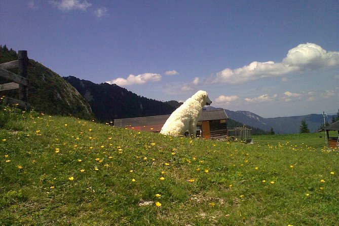 Hiking : 7 Ladders Canyon -Piatra Mare Mountain From Brasov - Ask Away