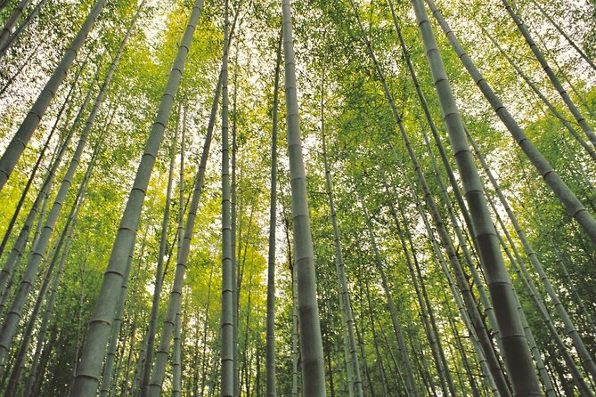 Hiking the Historic Nakasendo Trail- 1 Day Tour From Nagoya - Highlights of the Hike