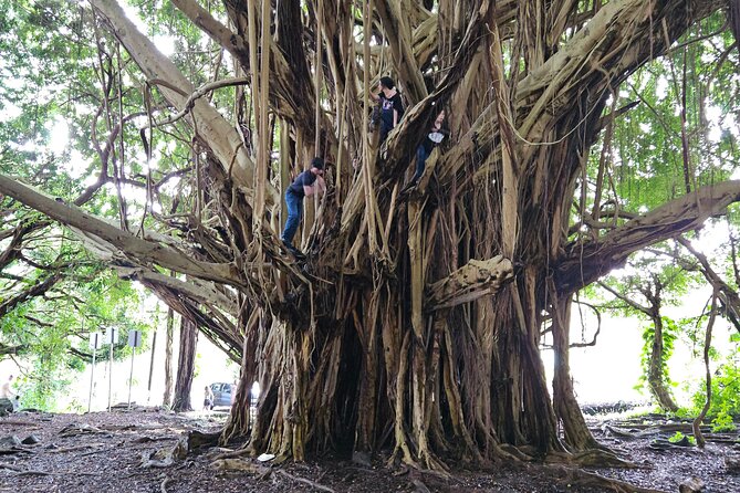 Hilo Guided Day Tour by Native Hawaiians - Frequently Asked Questions