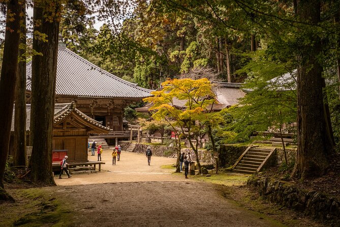 Himeji in Shoshazan Engyo Ji Photography Tour Experience - Preparing for the Photography Tour