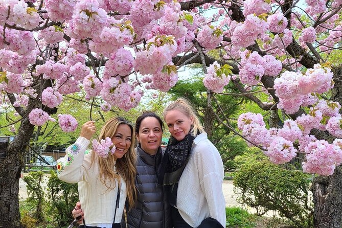Hirosaki 4hr Private Tour With Government-Licensed Guide - Customizing Your Experience