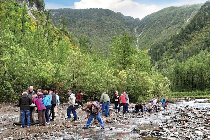 Historic Gold Mining and Panning Adventure - The History of Gold Mining in Juneau