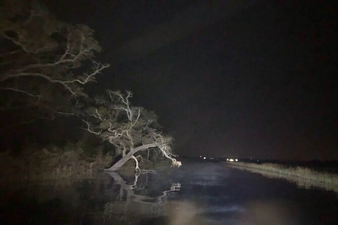 Historical Haunted Bayou Cruise - Enjoying the Post-Cruise Campsite Experience