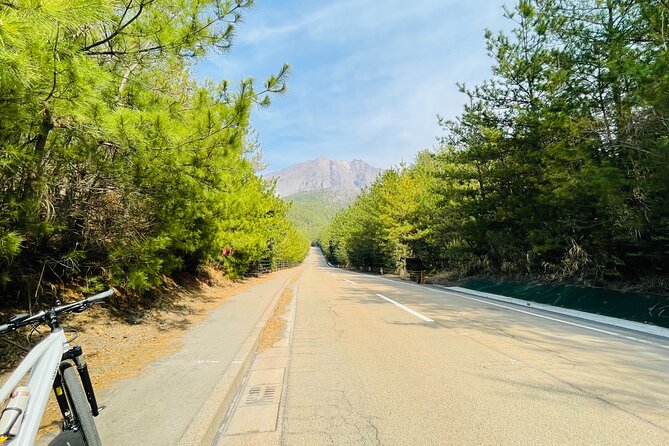 Historical Hill Climb E-bike Tour to Sakurajimas Peak - Knowledgeable Guide