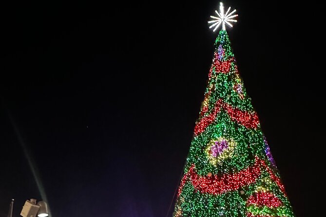 Holiday Lights Private Night Bus Tour Review - Frequently Asked Questions