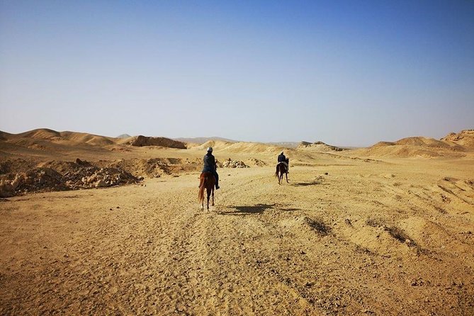 Horse Riding Adventure 2 Hours Sea and Desert - Hurghada - Tips for Participants