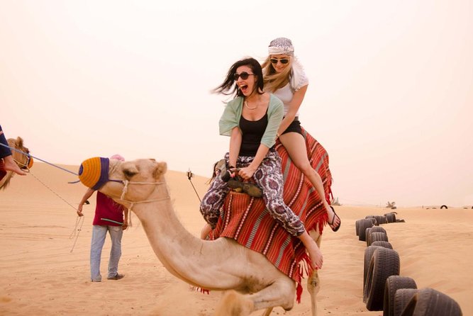 Horseback Or Camel Riding One Hour With Transfer - Sharm El Sheikh - Commitment to Customer Care