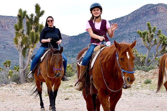 Horseback Ride, Joshua Tree Forest, Buffalo, Lunch Singing Cowboy - The Knowledgeable Cowboy Guide