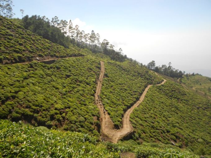 Horton Plains: Pekoe Trail Stage 11 Hiking Trip to Udaweriya - Booking and Availability